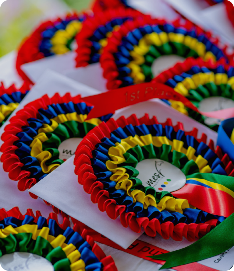 COMPETITION Mauritius Equestrian Sports Federation
